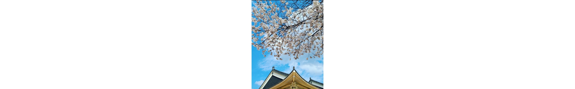 <div style='font-size:0.75em'>​​위기가정 발굴 및 지원에 강한 단체&nbsp;</div>