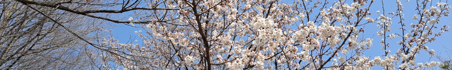 <div style='font-size:0.75em'>다문화한부모가정은 당신의 이웃</div>